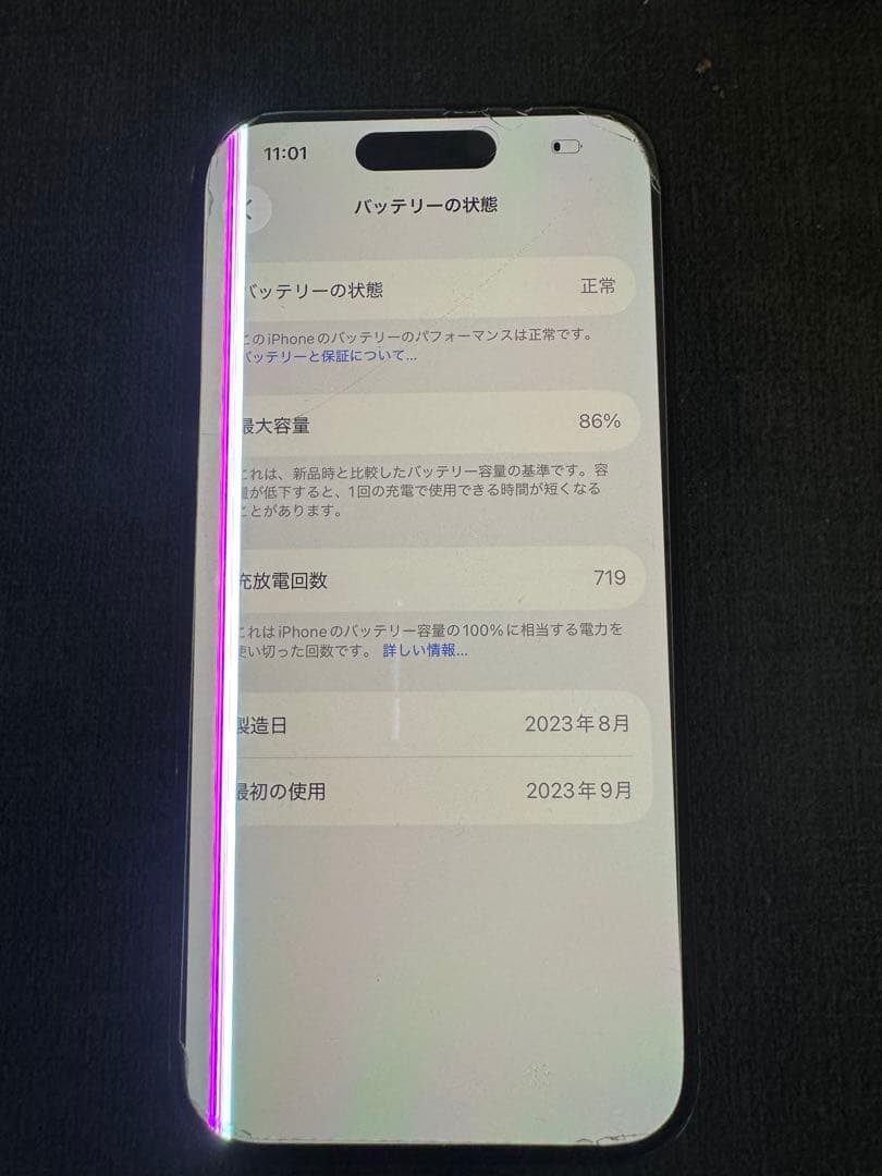海外版　iPhone15 Pro 1TB ジャンク